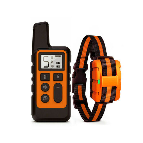 Dog Training Collar with remote.