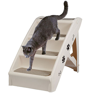 Pet stairs with a cat walking down them.