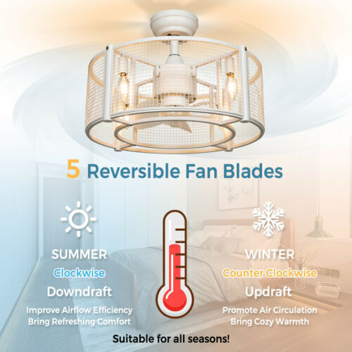 5 Reversible fan Blades