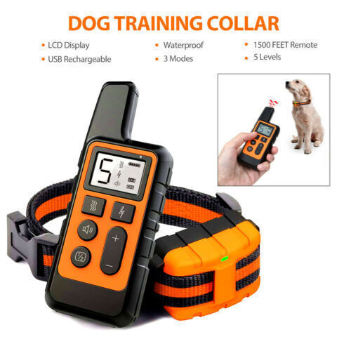 Dog training collar details with inset. 