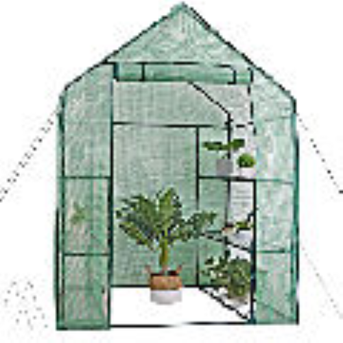 Mini walk-in greenhouse.