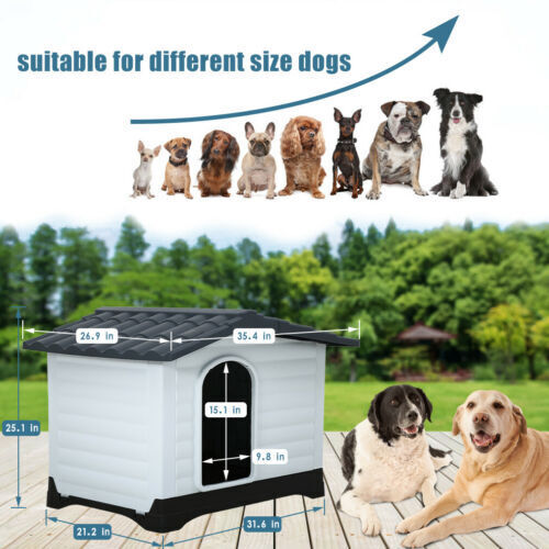 Dog house suitable for small medium or large dogs.