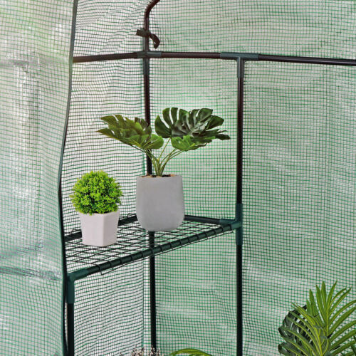 Close up of shelves in green house. 