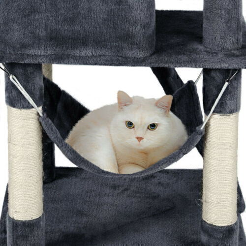 Cat in the play center hammock.