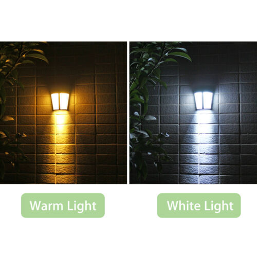 Two color choices, white light or warm white light. 